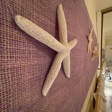 Apartament Le Suquet Style Iv By Connexion