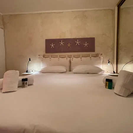 Le Suquet Style Iv By Connexion